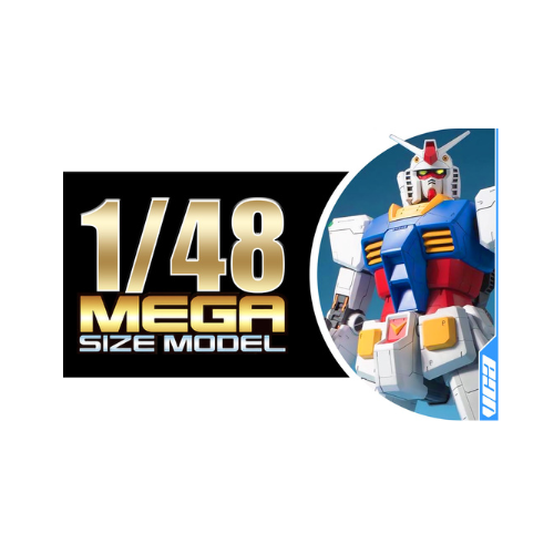 Collection MS