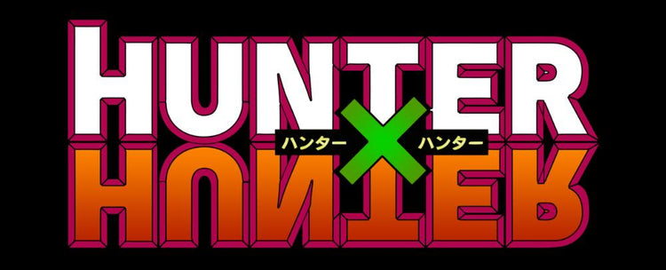 Figurines Hunter x Hunter