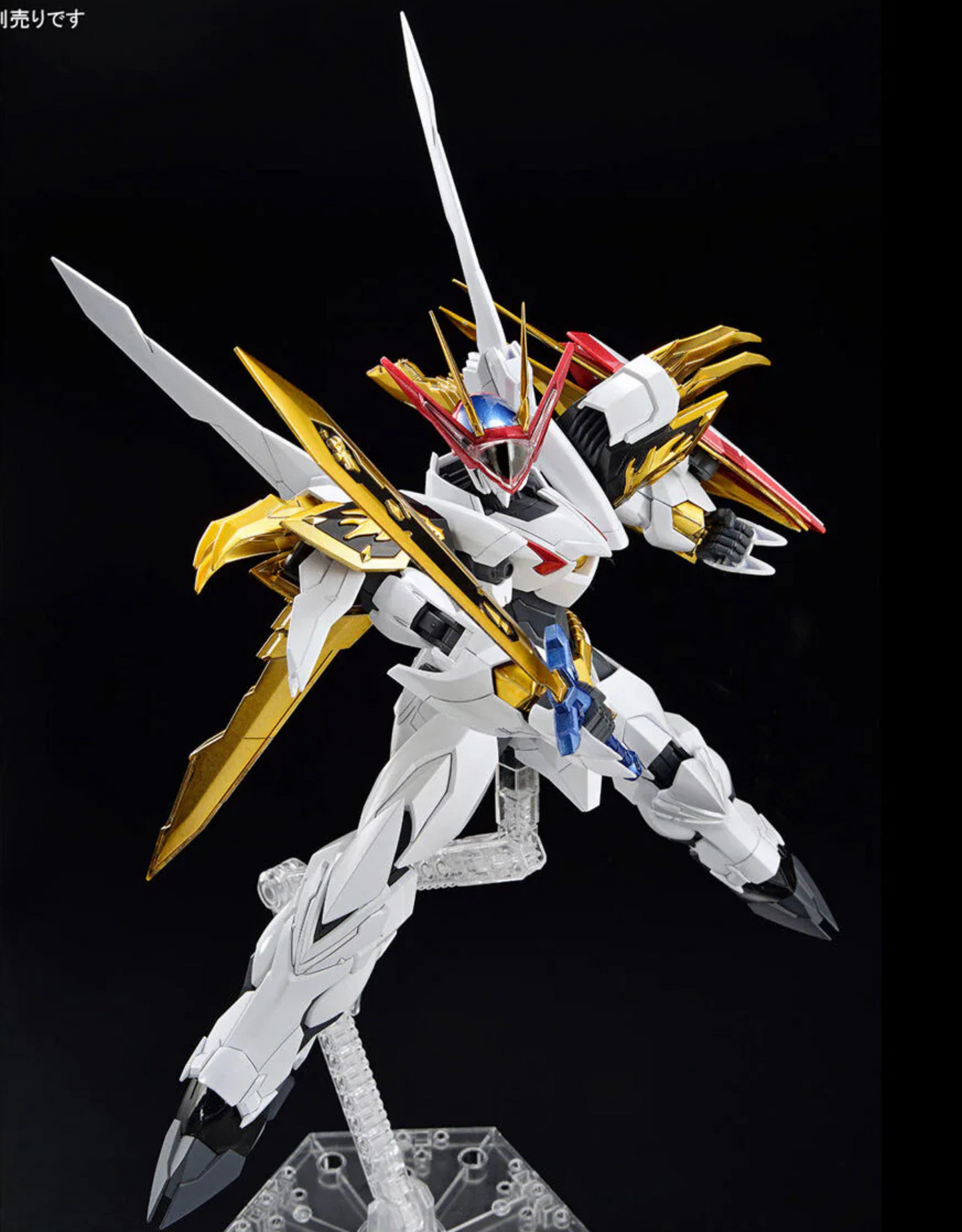 Wataru - HG Amplified IMGN Ryuoumaru - Maquette Bandai