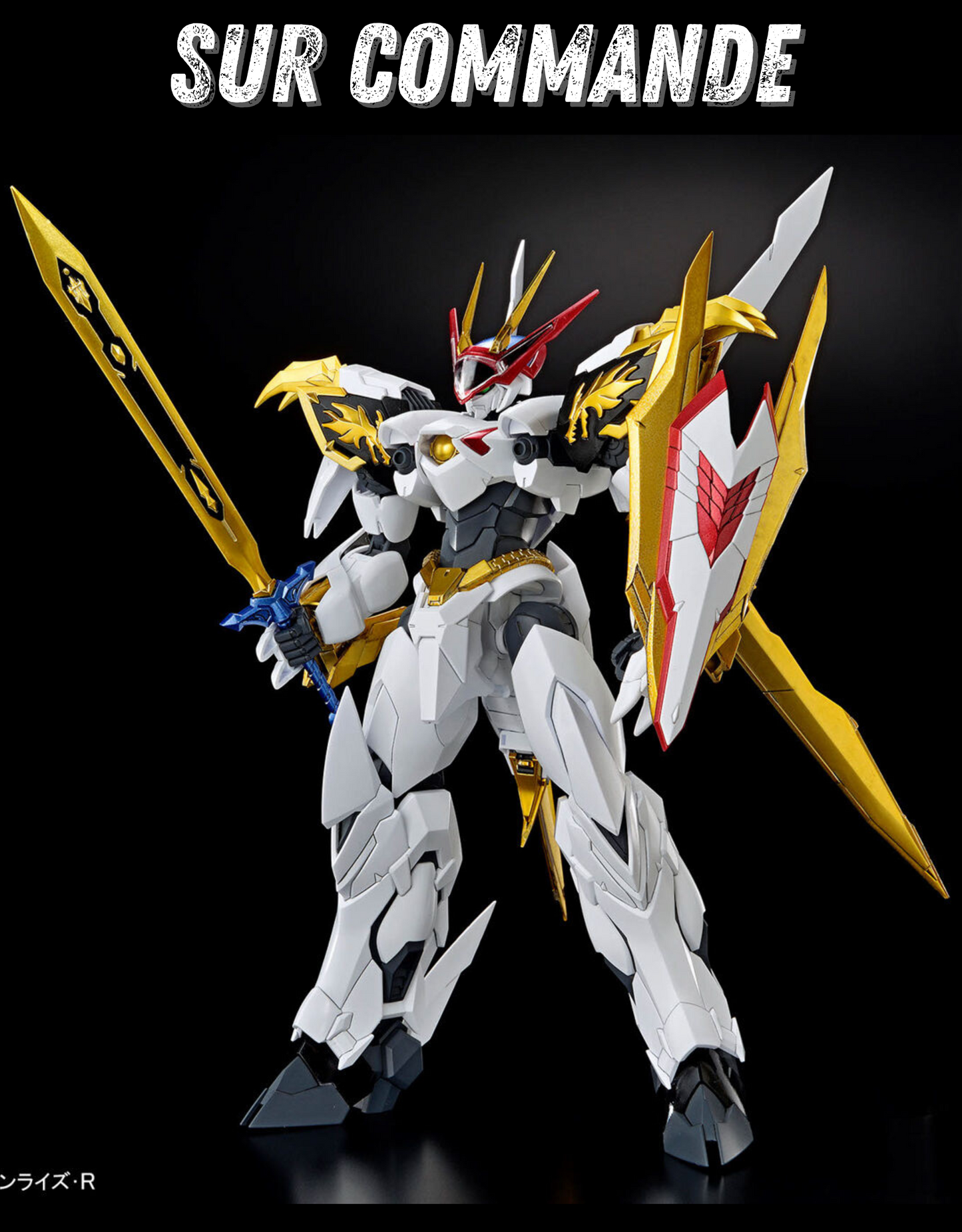 Wataru - HG Amplified IMGN Ryuoumaru - Maquette Bandai