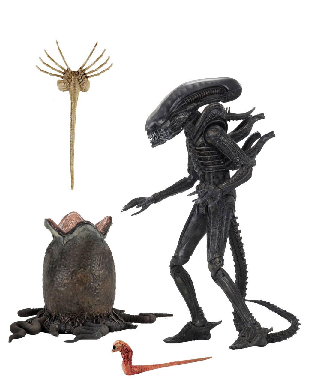 122025 - Alien (1979) -  Alien Big Chap (40ème Anniversaire) - Figurine Articulée Neca