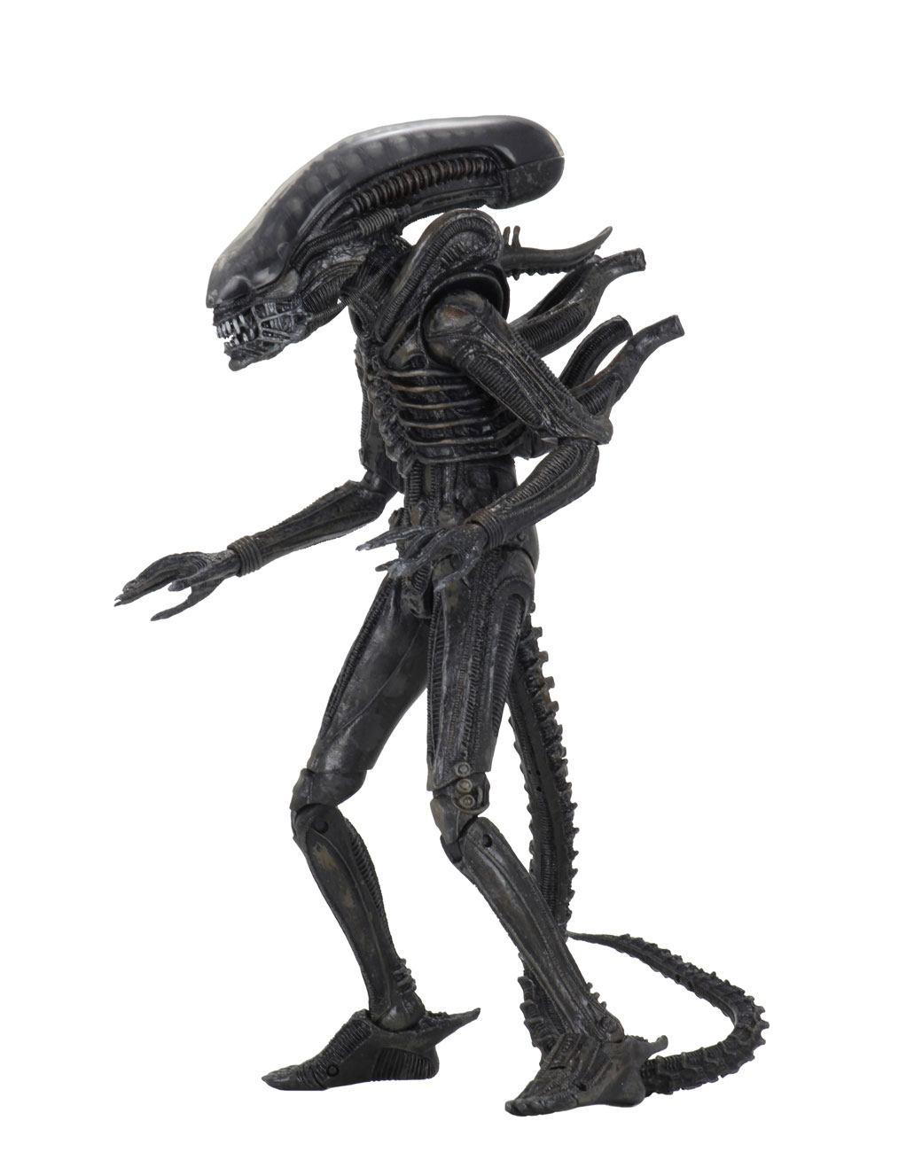 122025 - Alien (1979) -  Alien Big Chap (40ème Anniversaire) - Figurine Articulée Neca