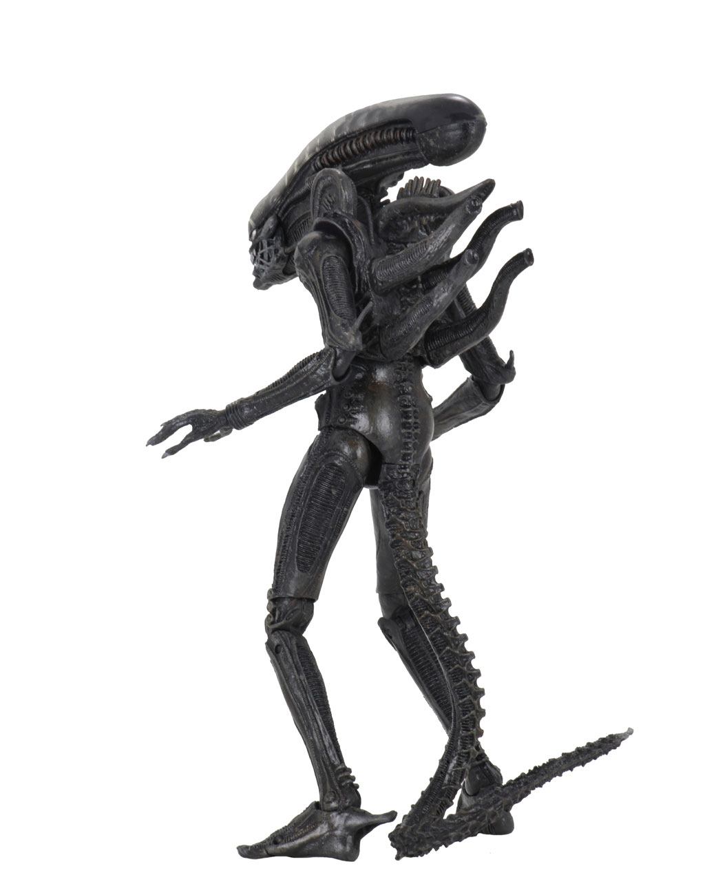 122025 - Alien (1979) -  Alien Big Chap (40ème Anniversaire) - Figurine Articulée Neca
