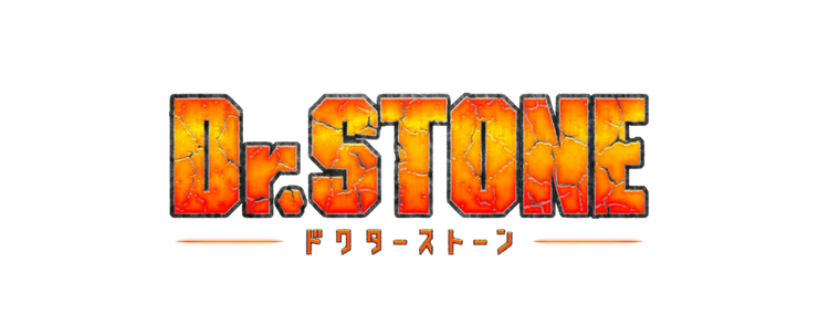 DR STONE
