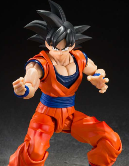 062026 - Dragon Ball Z - Son Goku - Figurine Articulée Tamashii Nation