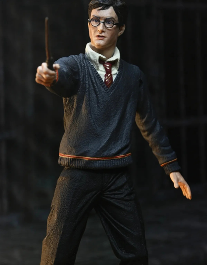 082026 - Harry Potter - Harry Potter (Legacy Collection) - Figurine Neca