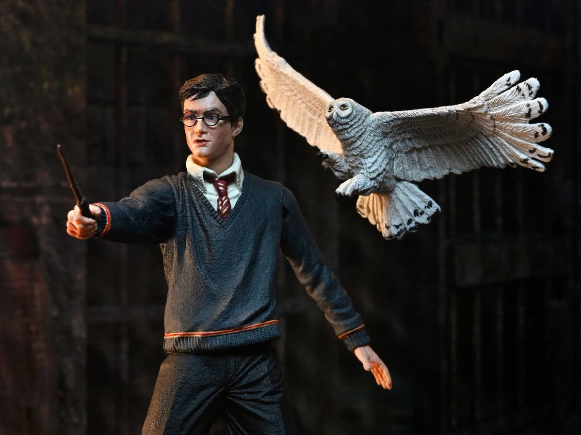 082026 - Harry Potter - Harry Potter (Legacy Collection) - Figurine Neca