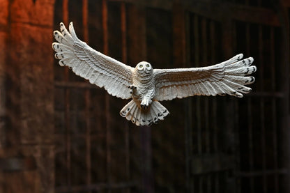082026 - Harry Potter - Harry Potter (Legacy Collection) - Figurine Neca