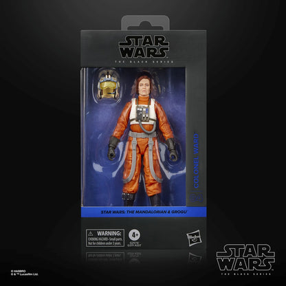 052026 - Mandalorian - Colonel Ward  - Figurine Articulée Hasbro