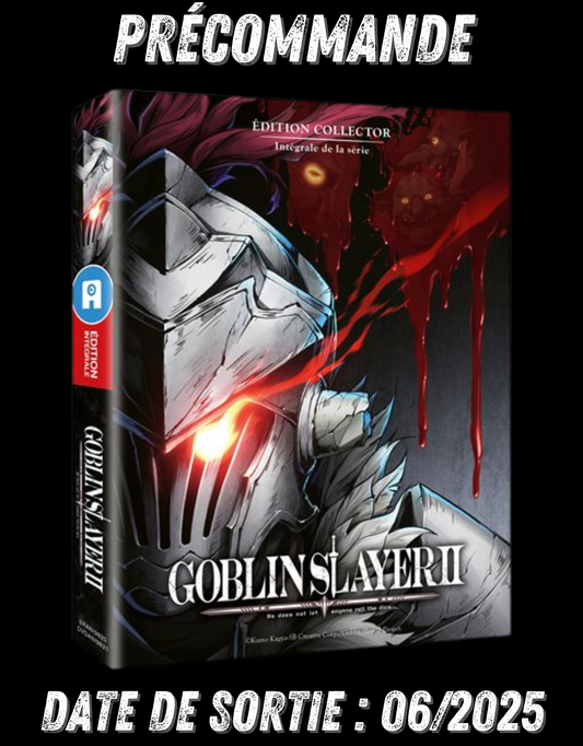 062025 - Goblin Slayer Saison 2 Intégrale - Blu-Ray Edition Collector