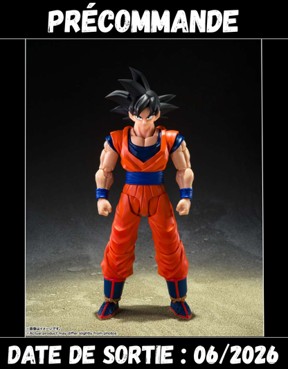 062026 - Dragon Ball Z - Son Goku - Figurine Articulée Tamashii Nation