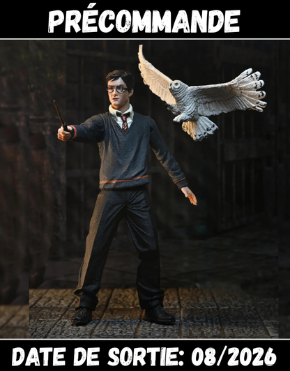 082026 - Harry Potter - Harry Potter (Legacy Collection) - Figurine Neca