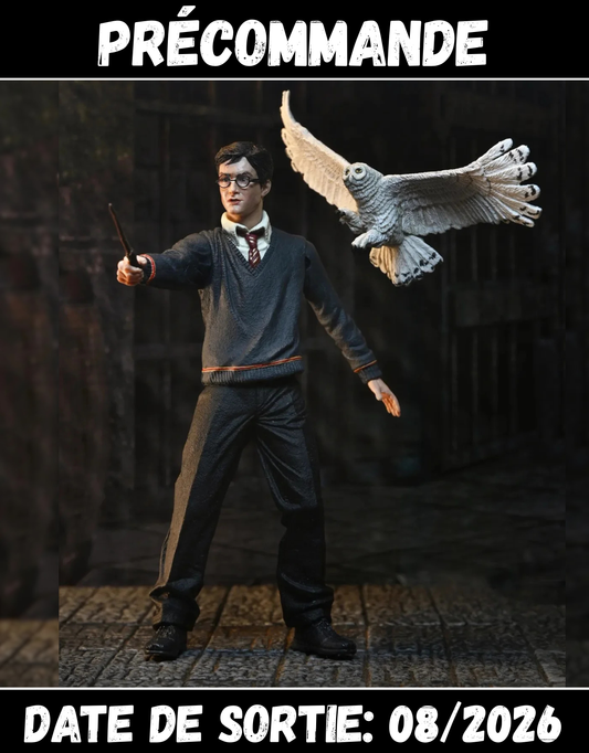 082026 - Harry Potter - Harry Potter (Legacy Collection) - Figurine Neca