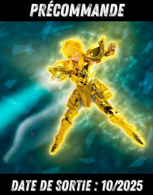 102025 - Saint Seiya - Aquarius Hyoga - Figurine Articulée Tamashii Nation