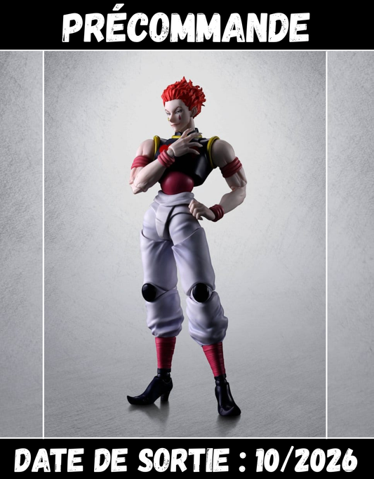 102026 - Hunter x Hunter - Hysoka - Figurine Articulée Tamashii Nation
