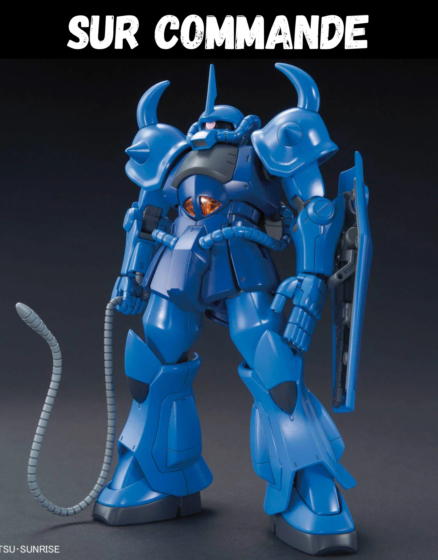 Gundam - HG 1/144 MS-07B Gouf - Gunpla