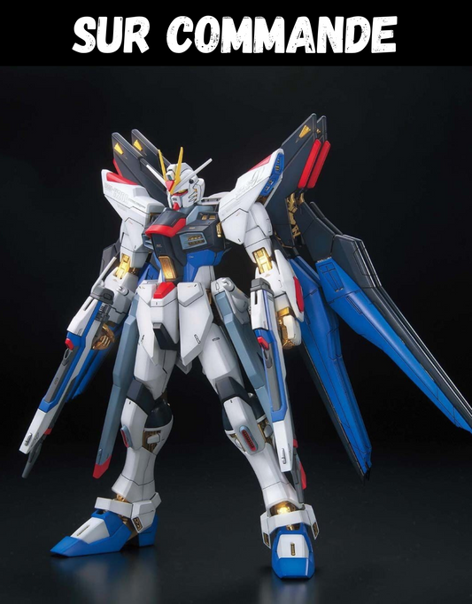 Gundam - MG 1/100 Seed Destiny Gundam Extrem Blast Mode - Gunpla