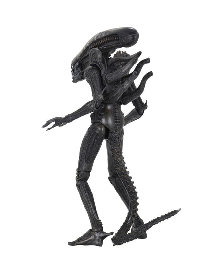122025 - Alien (1979) -  Alien Big Chap (40ème Anniversaire) - Figurine Articulée Neca